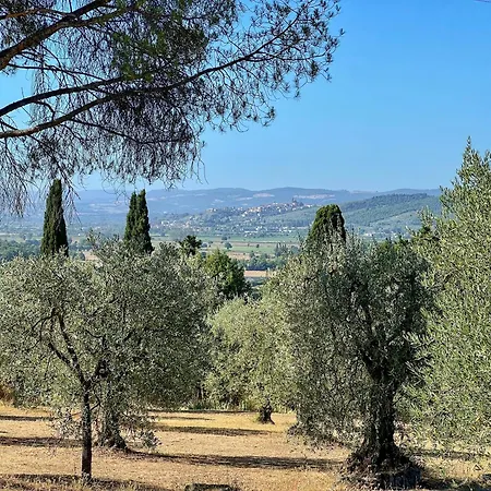 Panorama House דירה