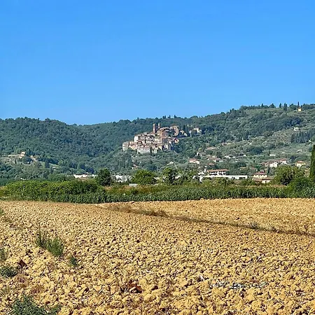 Panorama House סינאלונגה